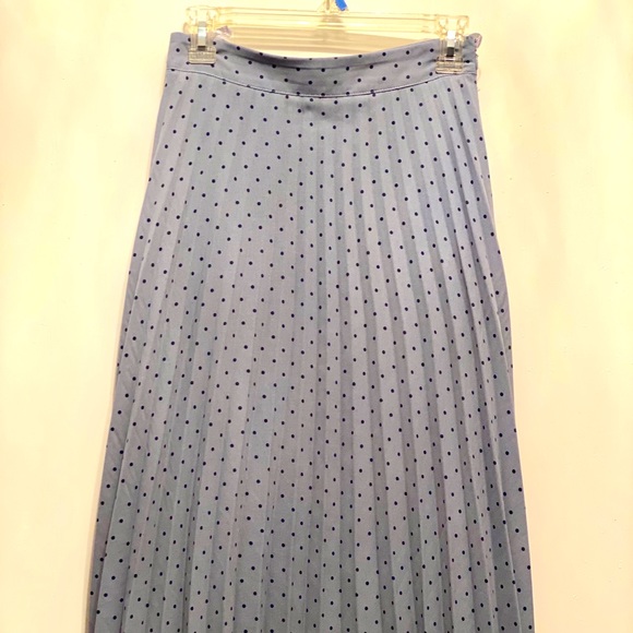 She + Sky Dresses & Skirts - She+sky pleated skirt color blue with polka dots 2